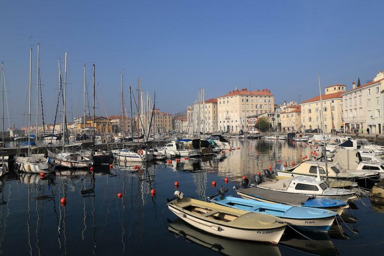 Vip Piran